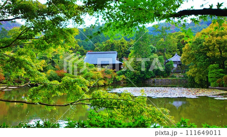 京都 龍安寺の鏡容池 京都 龍安寺の鏡容池 111649011