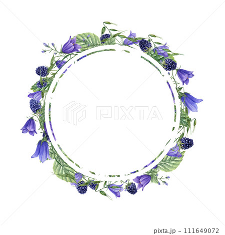 Round frame with Ripe Blackberries, meadow oats, blue harebells. Berries, campanula, avena. Dewberry, bramble. Watercolor illustration. For template package greetings. Space for text Round frame with Ripe Blackberries, meadow oats, blue harebells. Berries, campanula, avena. Dewberry, bramble. Watercolor illustration. For template package greetings. Space for text 111649072
