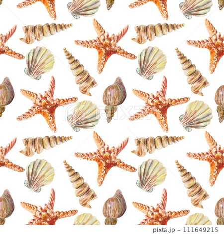 Seashells watercolor pattern. Seamless pattern isolated on white background. Cards, labels, wrapping paper, fabric, covers, clothing, textiles. Seashells watercolor pattern. Seamless pattern isolated on white background. Cards, labels, wrapping paper, fabric, covers, clothing, textiles. 111649215