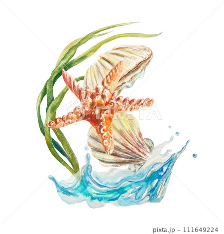 Starfish, shells, wave, watercolor. Illustration isolated on white background. Cards, invitations, labels, travel banners and flyers, covers. 111649224