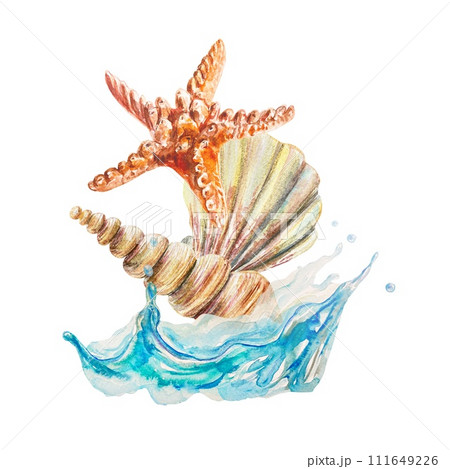 Shells, starfish, wave, watercolor. Illustration on a marine theme isolated on a white background. Cards, labels, posters, travel banners, flyers. 111649226