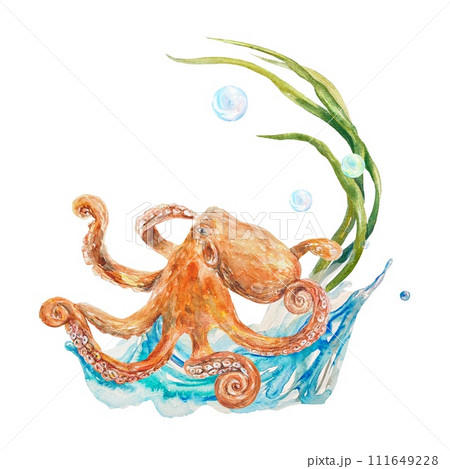 Octopus on a wave watercolor. Illustration on a marine theme, isolated on a white background. Cards, banners, labels, aquarium templates, invitations. 111649228