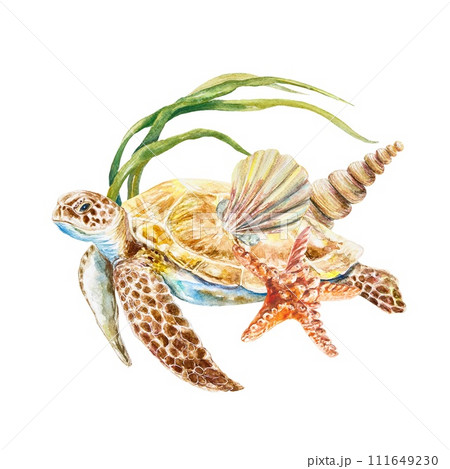 Sea turtle, shells, starfish watercolor. Illustration on a marine theme isolated on a white background. Cards, labels, travel banners, flyers, covers. 111649230