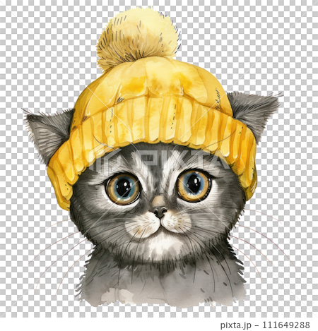 Adorable Cat in Winter Attire 111649288