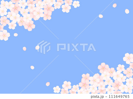 桜の花 111649765