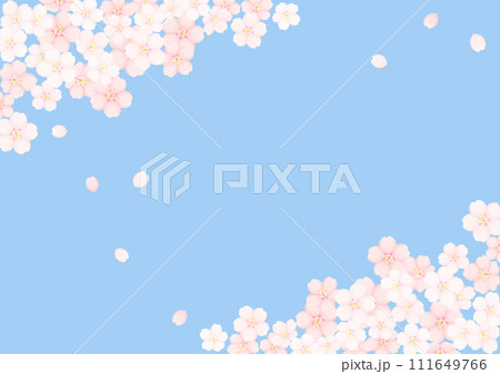 桜の花 桜の花 111649766