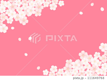桜の花 桜の花 111649768