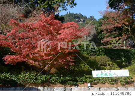 旧竹林院　境内の紅葉　滋賀県大津市坂本 111649796