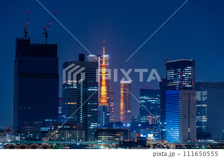 【夜景素材】豊洲ぐるり公園から見る東京の夜景【東京都】 111650555