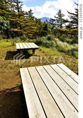 丹沢の姫次展望台 カラマツの黄葉に蛭ヶ岳 丹沢の姫次展望台 カラマツの黄葉に蛭ヶ岳 111650938