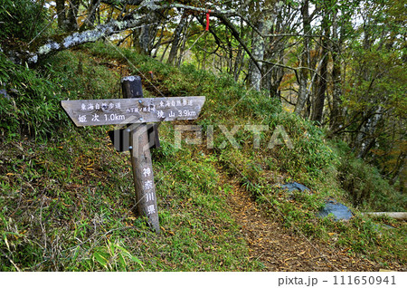 丹沢の道 丹沢主脈の八丁坂ノ頭分岐 丹沢の道 丹沢主脈の八丁坂ノ頭分岐 111650941