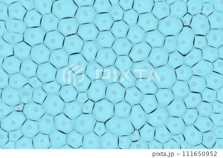 複数の細胞のイメージ-ノイズ多め 111650952