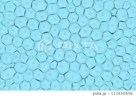 複数の細胞のイメージ 複数の細胞のイメージ 111650956