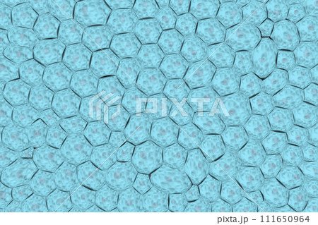 複数の細胞のイメージ 111650964