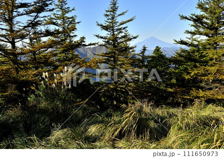 丹沢　紅葉の姫次展望台より富士山を望む 111650973
