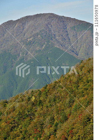 紅葉の丹沢山地 姫次より大室山を望む 紅葉の丹沢山地 姫次より大室山を望む 111650978