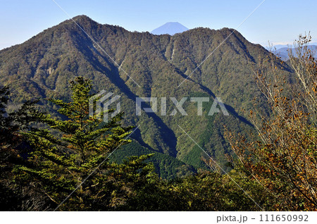 紅葉の丹沢山地 蛭ヶ岳より富士山と檜洞丸を望む 紅葉の丹沢山地 蛭ヶ岳より富士山と檜洞丸を望む 111650992