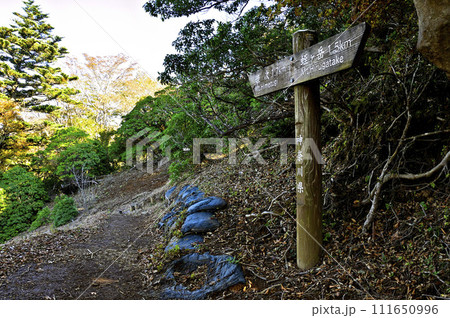 丹沢山地　丹沢主脈の地蔵岳山頂 111650996