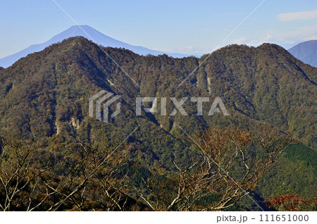 紅葉の丹沢山地 蛭ヶ岳より富士山と西丹沢を望む 紅葉の丹沢山地 蛭ヶ岳より富士山と西丹沢を望む 111651000