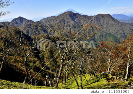 紅葉の丹沢山地　蛭ヶ岳より檜洞丸と重なる富士山を望む 111651003