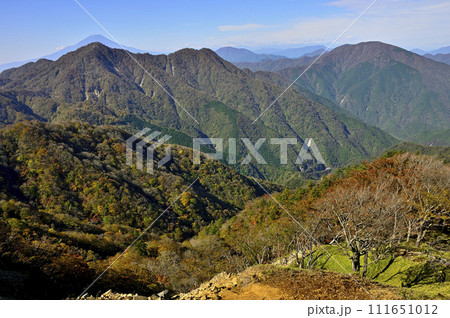 紅葉の丹沢山地 蛭ヶ岳より富士山と重なる西丹沢の檜洞丸と大室山を望む 紅葉の丹沢山地 蛭ヶ岳より富士山と重なる西丹沢の檜洞丸と大室山を望む 111651012