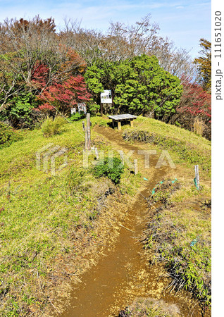 紅葉の丹沢山地　開放的な小御岳山頂 111651020