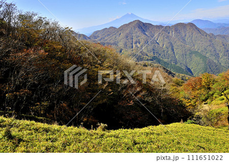 紅葉の丹沢山地　蛭ヶ岳より望む富士山と秋色の西丹沢 111651022