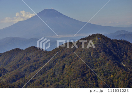 丹沢山地の蛭ヶ岳山頂より　富士山と紅葉の檜洞丸を望む 111651028