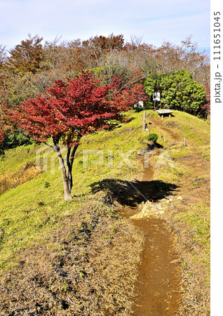 秋の丹沢山地　丹沢主脈　紅葉の小御岳山頂 111651045