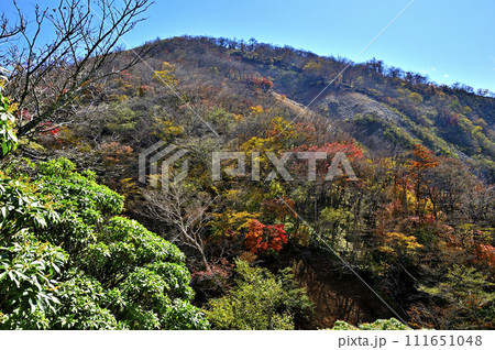秋の丹沢山地　紅葉の蛭ヶ岳 111651048