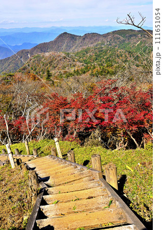 秋の丹沢山地　丹沢主脈　シロヤシオの紅葉に北丹沢を望む 111651054