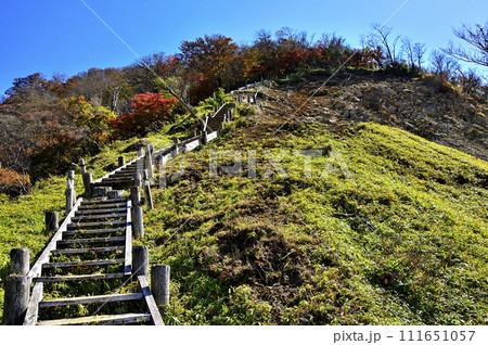 秋の丹沢山地　紅葉の丹沢主脈の登山道 111651057