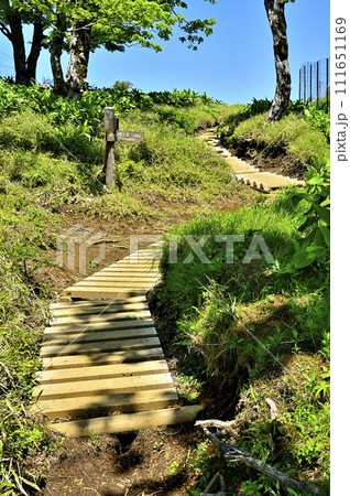 丹沢山地の棚沢ノ頭山頂の分岐 111651169