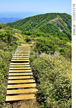 丹沢の不動ノ峰にて　丹沢主脈の縦走路の先に聳える丹沢山 111651176