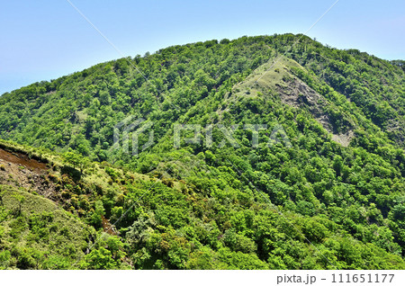 丹沢の縦走路　不動ノ峰より望む緑の丹沢山 111651177