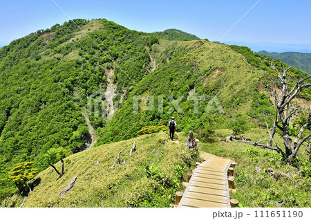 丹沢の丹沢山より 初夏の丹沢主脈の登山道 不動ノ峰と箒杉沢ノ頭と蛭ヶ岳 丹沢の丹沢山より 初夏の丹沢主脈の登山道 不動ノ峰と箒杉沢ノ頭と蛭ヶ岳 111651190