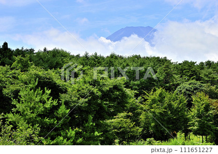 山梨県忍野村　忍野田園より望む雲間の富士山 111651227