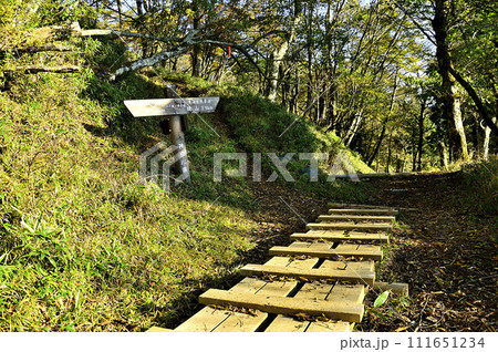 丹沢の道　丹沢主脈　八丁坂ノ頭の分岐 111651234