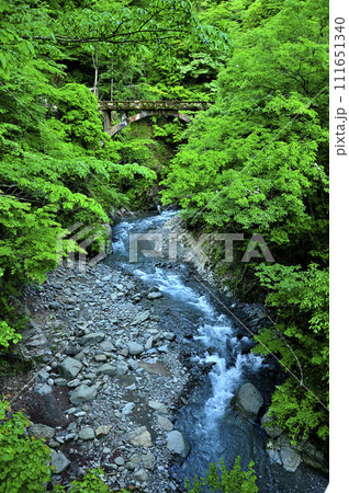 丹沢の本谷川　山地に架かるレトロな旧瀬戸橋 111651340