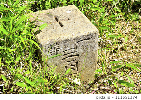 丹沢山地の丹沢山　山頂の一等三角点 111651374