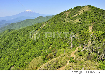 丹沢山地の丹沢山より富士山と不動ノ峰 丹沢山地の丹沢山より富士山と不動ノ峰 111651379