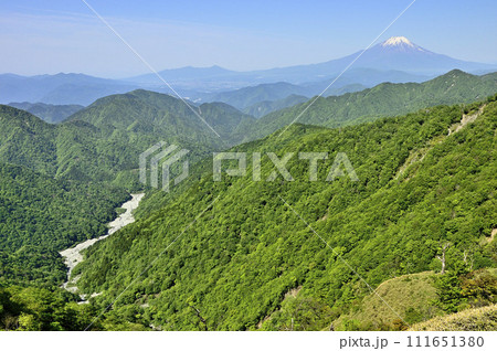 丹沢山地の丹沢山より富士山と緑の山地 丹沢山地の丹沢山より富士山と緑の山地 111651380