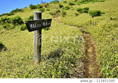 丹沢山地の箒杉沢ノ頭　草原の丹沢主脈の縦走路 111651395