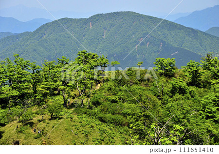 丹沢山地の不動ノ峰から望む　緑の山地　山梨百名山の大室山 111651410