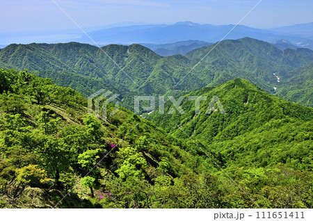 丹沢山地の不動ノ峰から望む　緑の山地　鍋割山稜と檜岳山稜 111651411