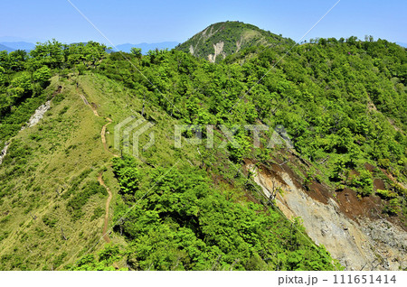 丹沢山地の不動ノ峰より　緑の丹沢主脈　蛭ヶ岳を望む 111651414