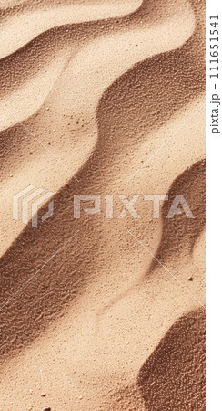 AI-generated content. Wavy sea sand background. 111651541