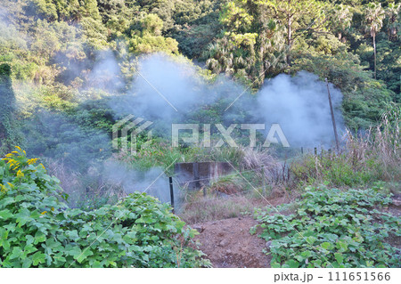 【鰻温泉 (あちこちから湯けむりが噴出)】 鹿児島県指宿市山川成川 111651566