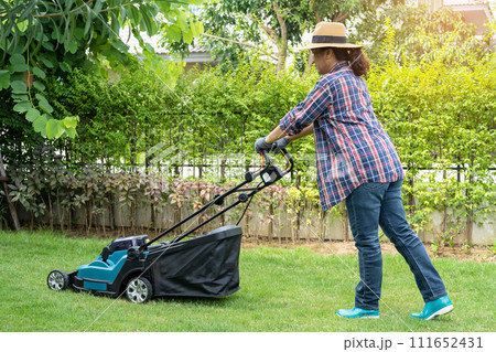 Lawn mover machine cut green grass, Hobby planting home garden. 111652431