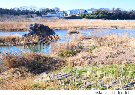 川風景 荒川本流 河原の冬景色 花園水辺公園付近 川風景 荒川本流 河原の冬景色 花園水辺公園付近 111652610